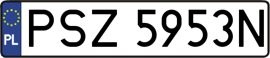 PSZ5953N