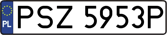 PSZ5953P