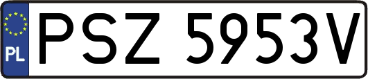 PSZ5953V