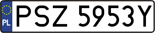 PSZ5953Y