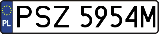 PSZ5954M