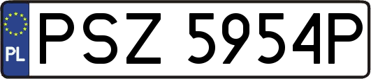 PSZ5954P