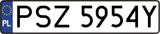 PSZ5954Y
