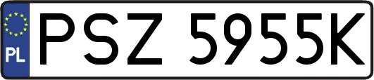 PSZ5955K