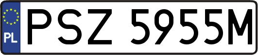 PSZ5955M