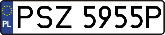PSZ5955P
