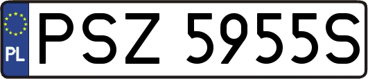 PSZ5955S