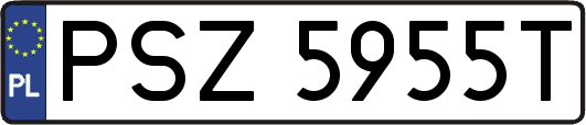 PSZ5955T