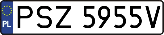 PSZ5955V