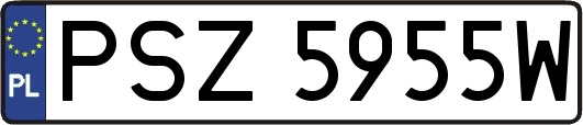 PSZ5955W