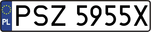 PSZ5955X