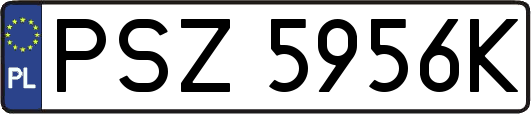 PSZ5956K