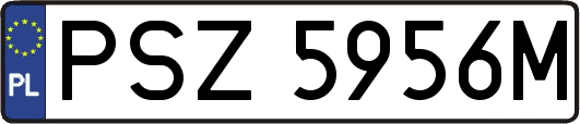 PSZ5956M