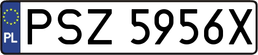 PSZ5956X