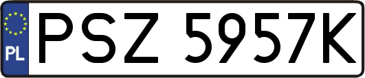 PSZ5957K
