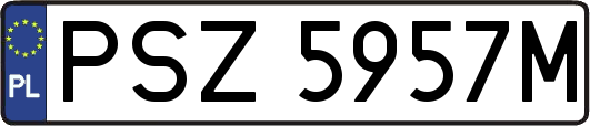 PSZ5957M