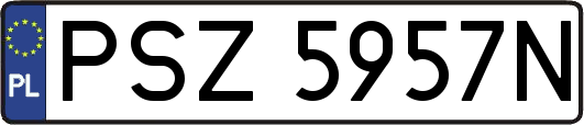 PSZ5957N