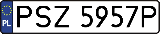 PSZ5957P