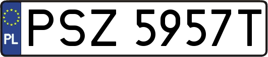 PSZ5957T