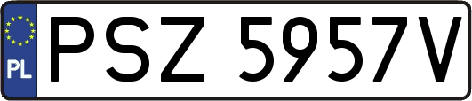 PSZ5957V