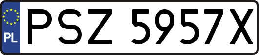 PSZ5957X