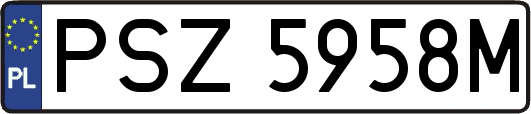 PSZ5958M