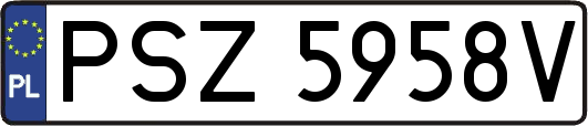 PSZ5958V