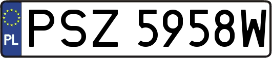 PSZ5958W