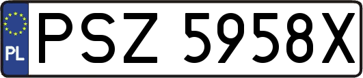 PSZ5958X