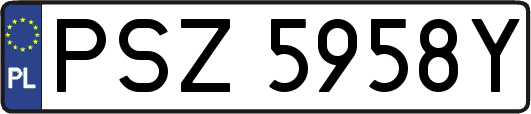 PSZ5958Y