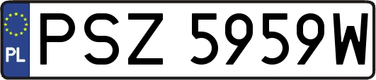 PSZ5959W