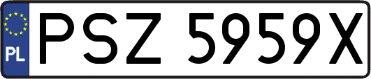 PSZ5959X