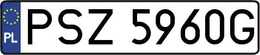 PSZ5960G