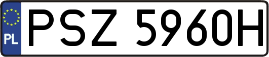 PSZ5960H