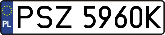PSZ5960K