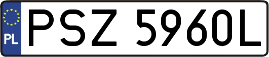 PSZ5960L