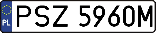 PSZ5960M