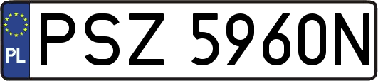 PSZ5960N