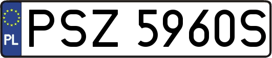 PSZ5960S