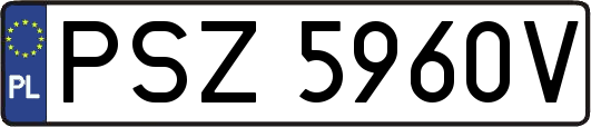 PSZ5960V