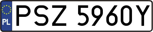 PSZ5960Y