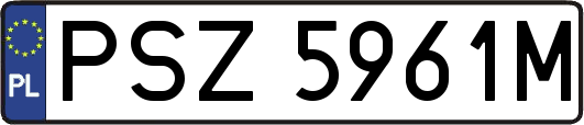 PSZ5961M