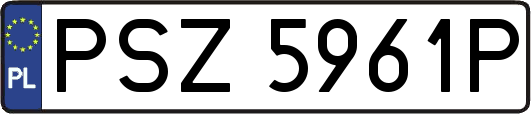 PSZ5961P