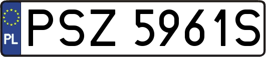 PSZ5961S
