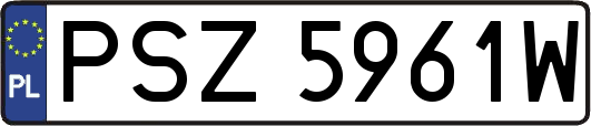 PSZ5961W