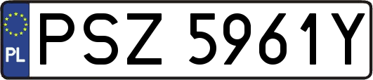 PSZ5961Y