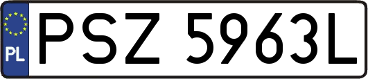 PSZ5963L