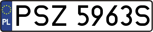 PSZ5963S