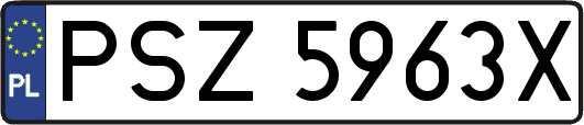 PSZ5963X