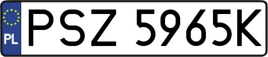 PSZ5965K